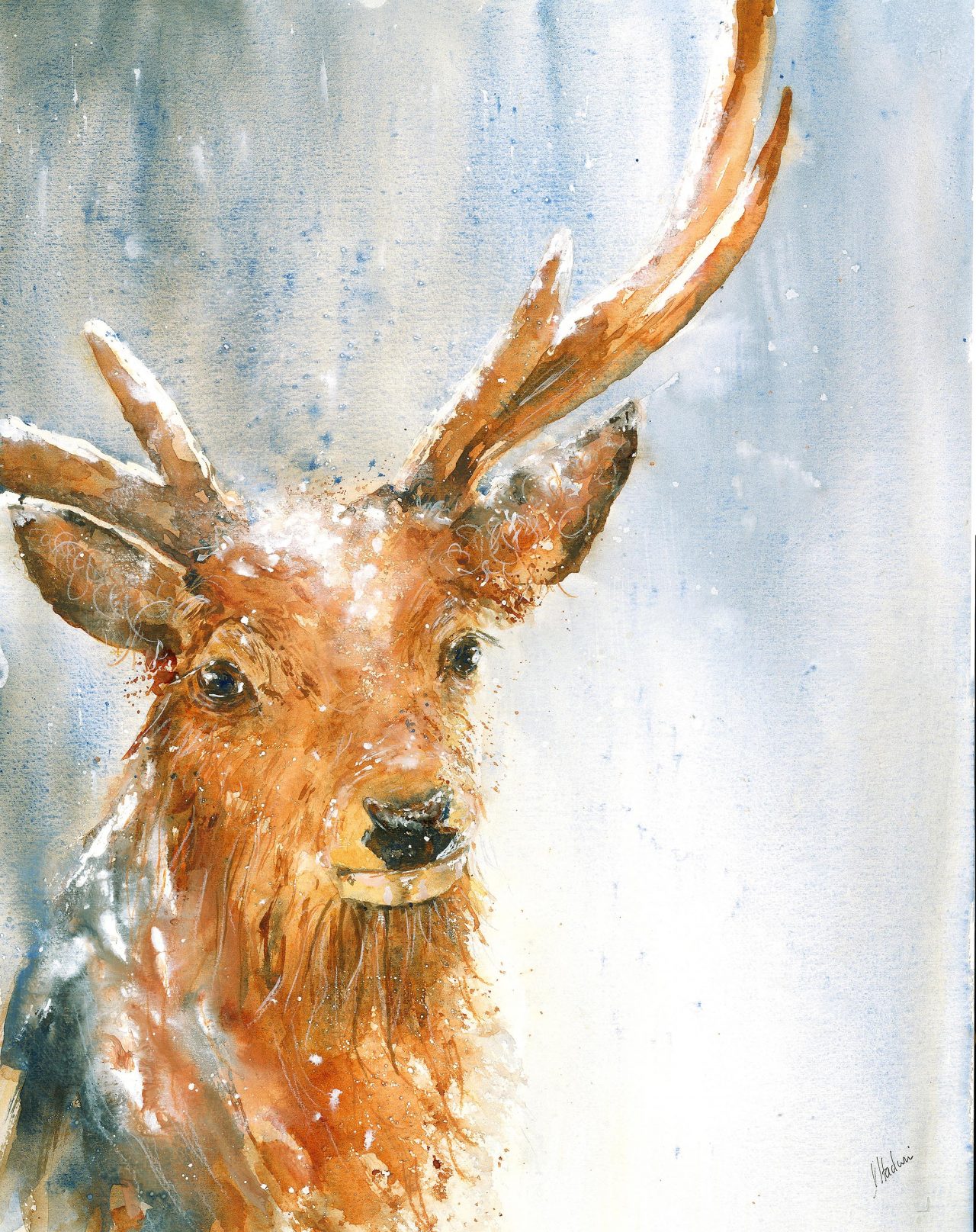 Watercolour Prints for sale Undercrag Studio, Lake District